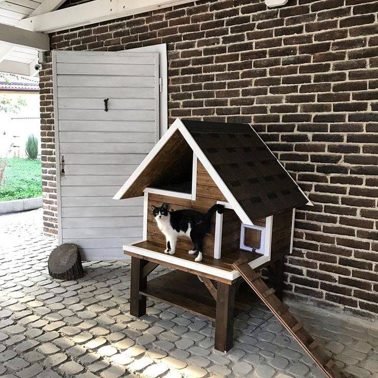 Как помочь перезимовать бездомной кошке на улице — сделать домик для уличной кисы, советы и инструкции