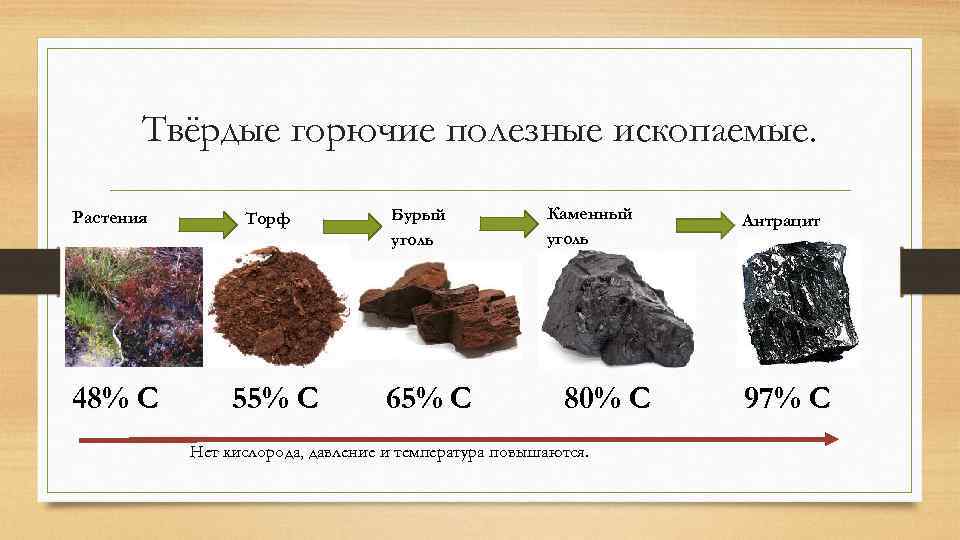 Каменный уголь – это минерал или горная порода, каково его происхождение?