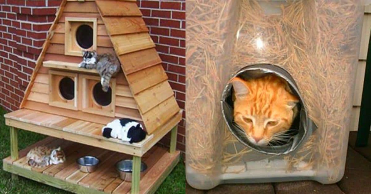 Зимний домик для кошки на улице, особенности конструкции - строй-специалист.ру