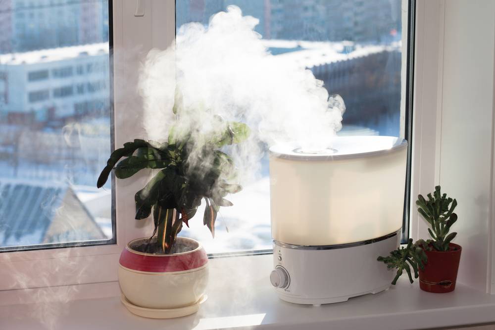 Как увлажнить воздух в квартире | 7 способов без увлажнителя