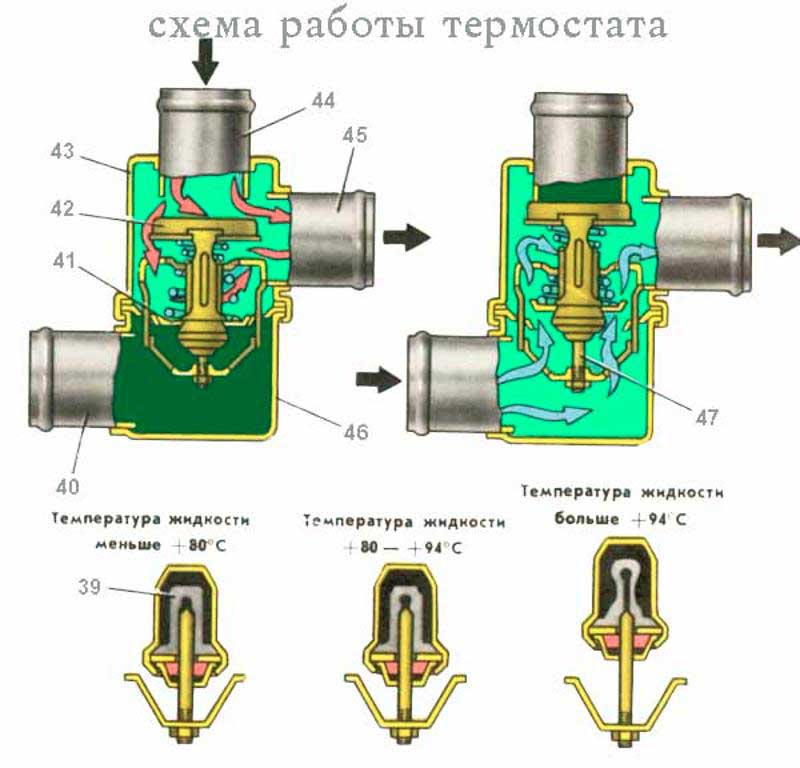 Что такое автомобильный термостат: устройство, принцип работы и неисправности