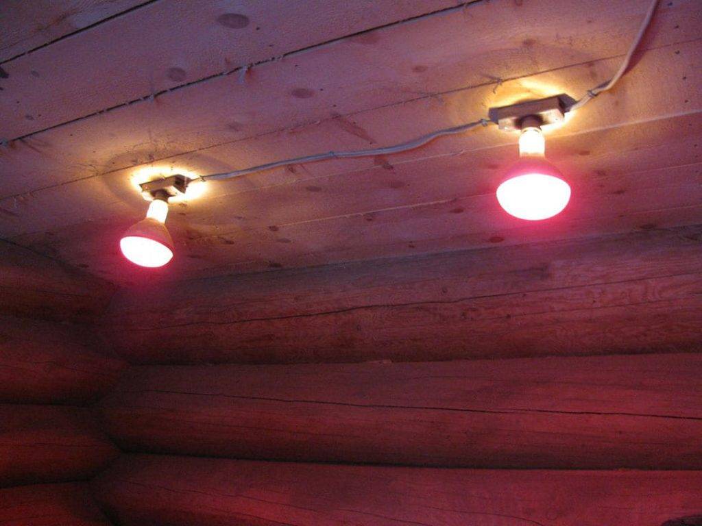 Инфракрасные лампы для курятника: разновидности, назначение, преимущества и недостатки