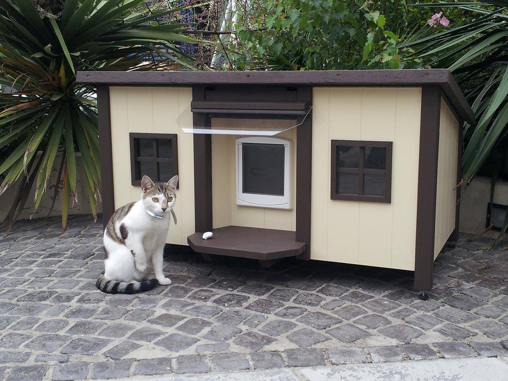 Зимний домик для кошки на улице - мега дом