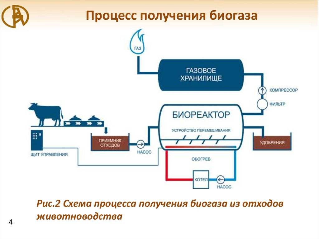 Технология получения биогаза из навоза: особенности процесса, выход газа и рентабельность производства, а также плюсы и минусы использования этого топлива
