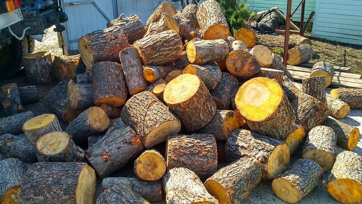 Какие дрова лучше для печки: виды, сравнительный обзор